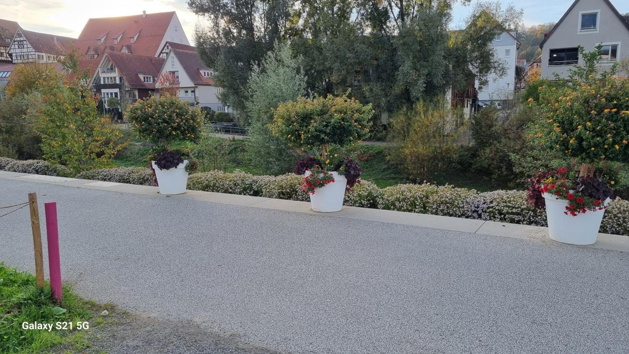 Schlafzimmer 1 Mit Top Aussicht Ueber Weilstetten Balingen Eksteriør billede
