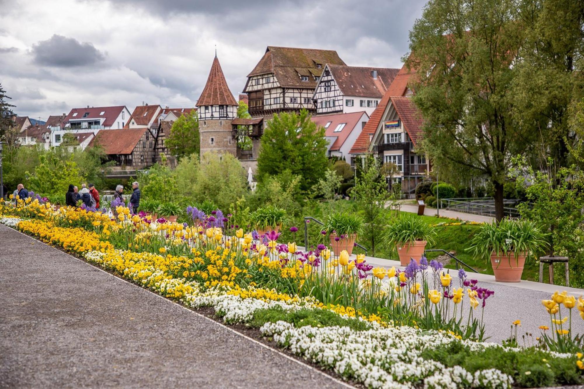 Schlafzimmer 1 Mit Top Aussicht Ueber Weilstetten Balingen Eksteriør billede